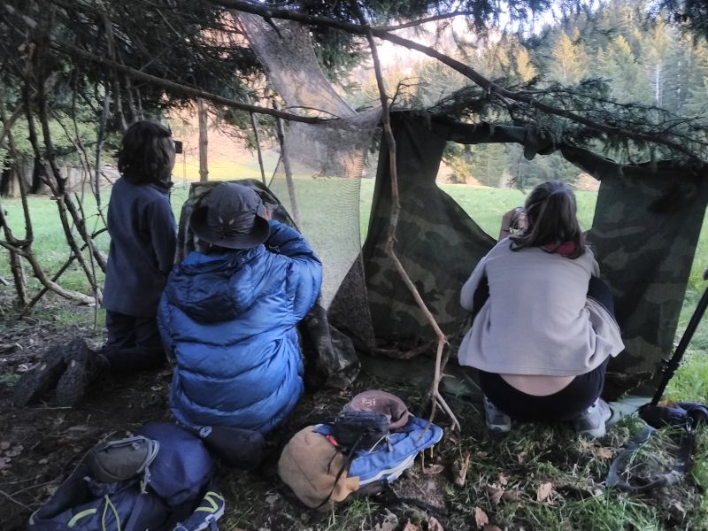 Apprentis naturalistes: à la rencontre de la faune sauvage… un automne en montagne  11-15 ans