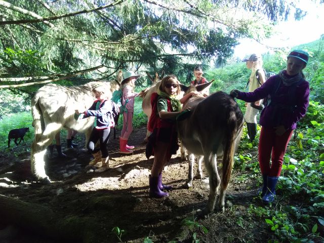 La forêt sous les étoiles  9-11 ans  