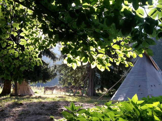 Sur la trace des Amérindien·ne·s 12-15 ans